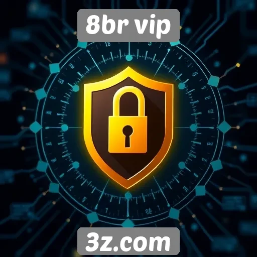 Avaliação de segurança no site 8br vip